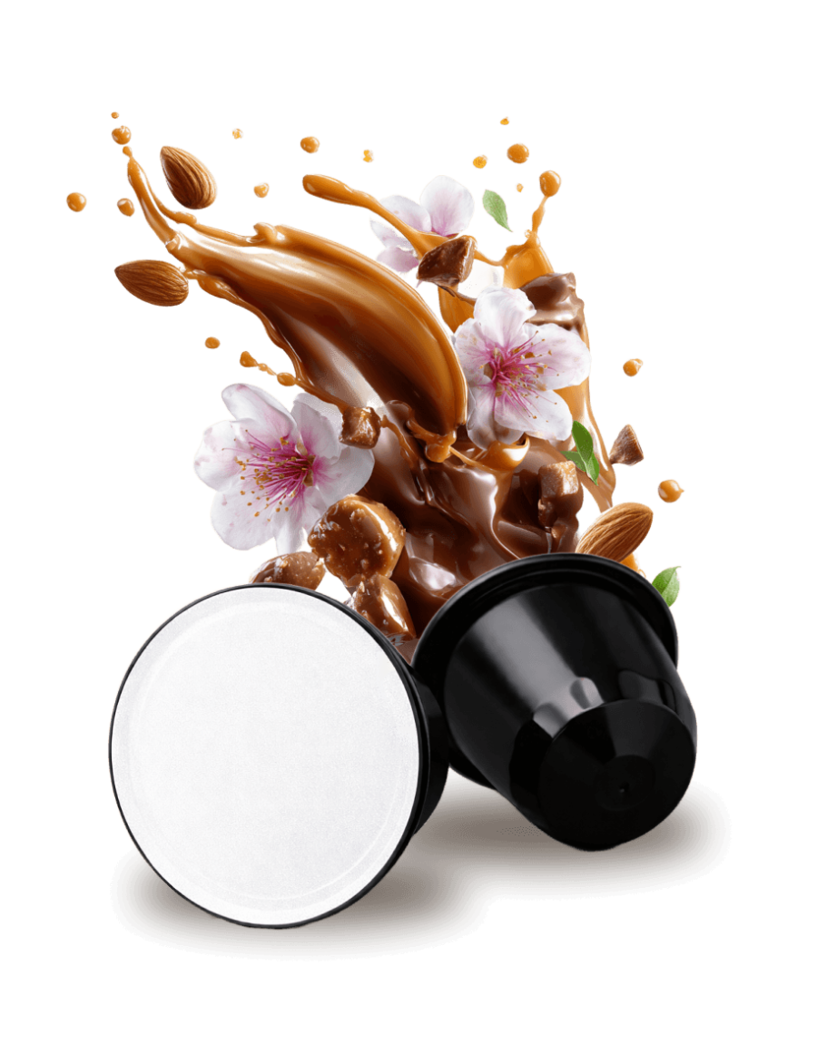 Кава в капуслах Gusto Espresso “Arabica Blend” (сумісна з системою Nespresso®)